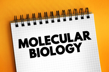 Molecular Biology - branch of biology that studies the molecular basis of biological activity, text...