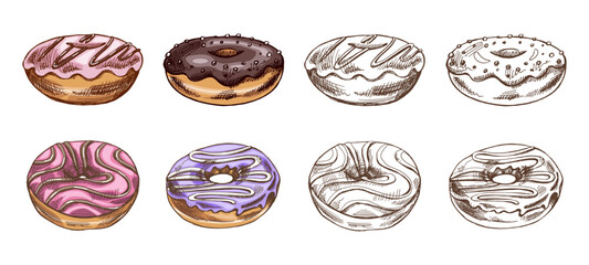 A hand-drawn colored and monochrome sketches of donuts. Vintage illustration. Pastry sweets, dessert. Element for the design of labels, packaging and postcards.