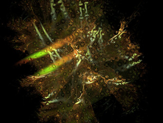 Imaginatory fractal abstract background Image