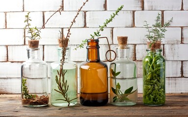 Five vintage glass bottles with twigs of plants at a brick wall, a botanical background