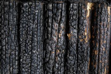 Charred wooden logs of a barn, bathhouse, house after a fire.