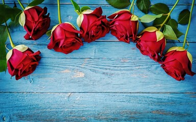 Red roses flowers on blue painted wooden planks