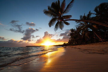 Landscape of paradise tropical island beach with palm trees on the sea shore sunset, sunrise seascape - 728413144