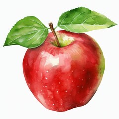red apple watercolor
