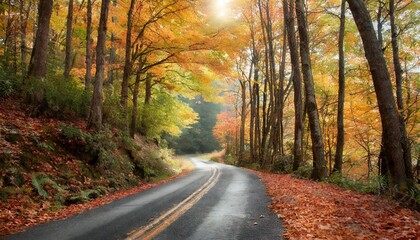 Naklejka na ściany i meble road in autumn forest fall country scenic