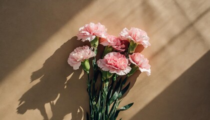 pink carnation flowers bouquet on tan background with deep sunlight shadows flat lay top view floral composition
