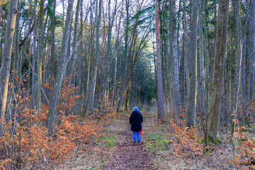 A Caucasian woman with a blue jacket, a blue cap and a bright red bag stands on a forest path between trees in winter and looks towards the horizon