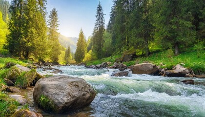 rapid mountain river in spruce forest wonderful sunny morning in springtime grassy river bank and rocks on the shore waves above boulders in the water beautiful nature scenery