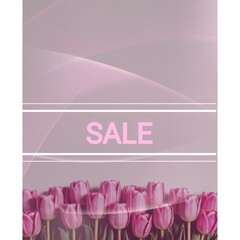sale. spring sale. advertising brochure for shops