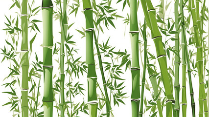 Fototapeta na wymiar Green bamboo on a white background. The bamboo is tall and slender, with long, green leaves. The leaves are arranged in a staggered pattern