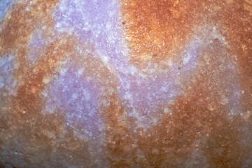 A mesmerizing macro photograph revealing the intricate surface pattern and natural beauty of a Cypraea species seashell from the ocean depths