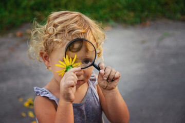 A child looks at a flower with a magnifying glass. Selective focus.