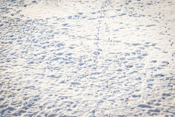Landscape shot of the snow with footprints. Concept