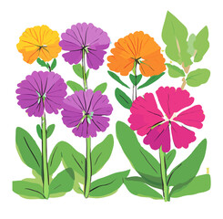 collection of flowers