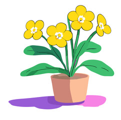 daffodils in a pot