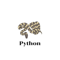 Illustrations, python ,programming language