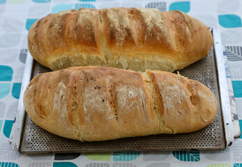 Freshly baked traditional homemade bread