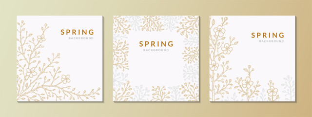 Set of square spring backgrounds with golden and silver sakura branches in bloom. Elegant greeting card, wedding invitation, social media post template, obituary, condolence