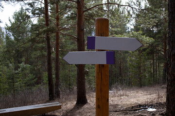 Side view of a wooden advertisement mockup at a green forest park. Park Indications and regulations.