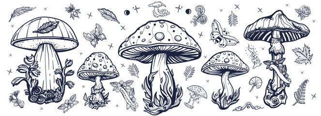 Mushrooms. Old school tattoo style. Black and white vector collection. Autumn forest, fly agaric, mushroom grebes, boletus