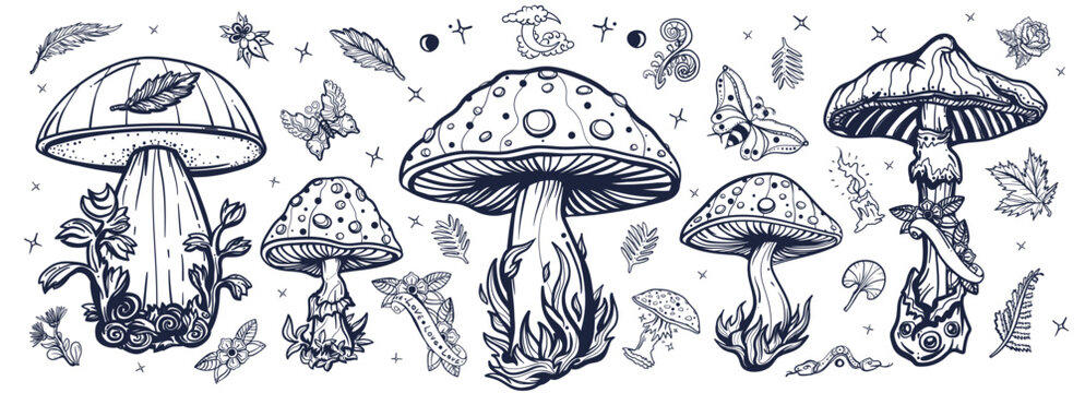 Mushrooms. Old school tattoo style. Black and white vector collection. Autumn forest, fly agaric, mushroom grebes, boletus