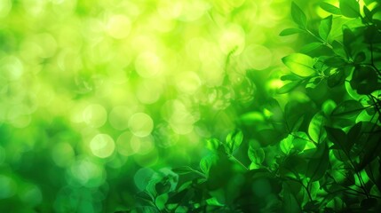 Green leafy background with copy space