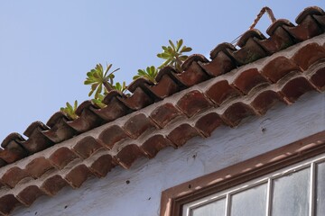 Beautiful architecture of San Cristobal - former capital of Tenerife. Canary Islands, Spain. Close up of roof wiht tiles.