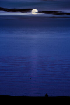 seascape at night. water surface in full moon light