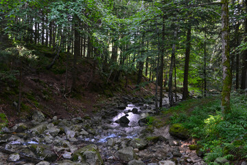 The Wolf stream, Karpacz, Poland