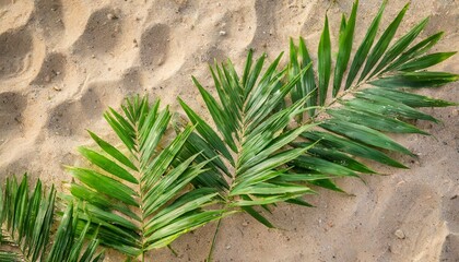 Palm Sunday. The Green Palm Laying On Desert.