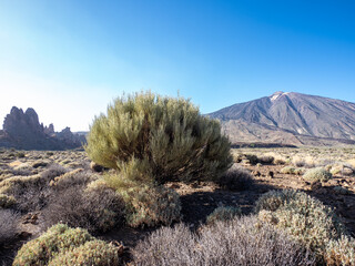 Landscape of Teide National Park
