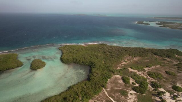Panoramic overview of mangroves on coast of sandy island in Los Roques archipelago