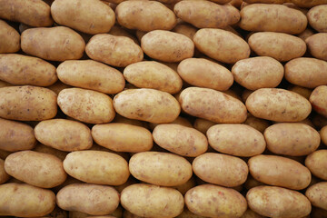 Fototapeta na wymiar Close up of slice of raw potato selling super shop 