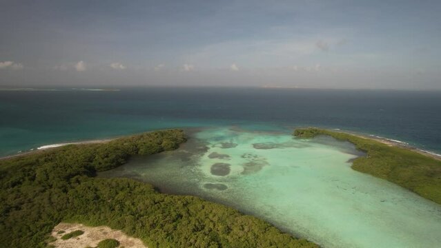 Aerial approach to mangrove lagoon capturing sediment of tropical island