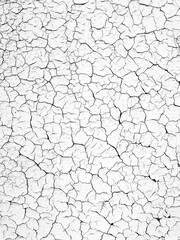 Natural background of cracked earth, soil. Texture of white patterns, rough wall with cracks and scratches, grunge background Dry season. Vertical photo with copy space