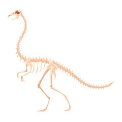 Dinosaur skeleton. Dino monsters icon. Shape of real animal. Sketch of prehistoric reptiles. Vector illustration isolated on white. Hand drawn sketch