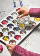 Child hands pour water into muffin tin with different flowers and petals. Easy fun kids crafts concept. Step by step tutorial