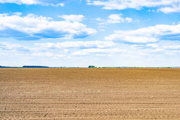 Photography on theme big empty farm field for organic harvest