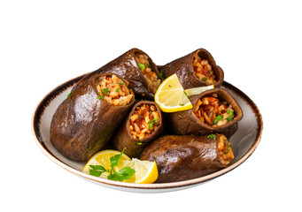 Traditional delicious Turkish foods; dried eggplant stuffed (Turkish name; Kuru patlican dolmasi)