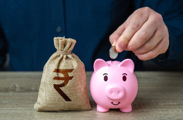 Pig piggy bank and indian rupee money bag. Banks and finance. Savings and accumulation of funds...