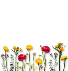 bunte, gelbe und rote farbenfrohe, fröhliche Blumen nebeneinander in einer Reihe freigestellt vor transparent Hintergrund. Platz für Text und copy space