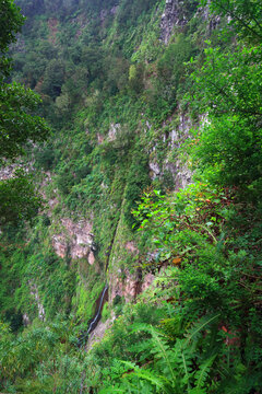 A view of the Salto del Arroyo del Cedro, the tallest waterfall in the Canary Islands, nestled in the lush greenery of Hermigua, La Gomera