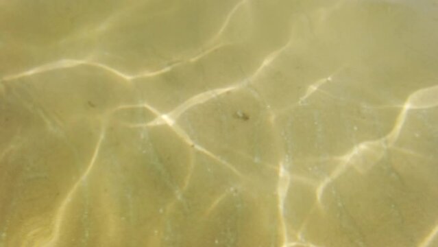 Sun glares on sandy ocean floor in shallow water.