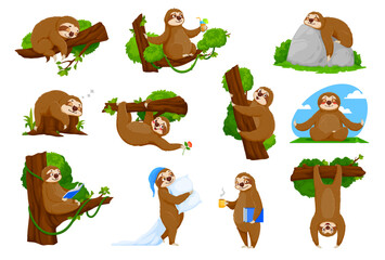 Fototapeta premium Cartoon funny sloth characters of cute lazy sleeping animal vector set. Sloth or tropical jungle sleepy bear hanging on tree, sleeping or snooze with pillow in pajamas, drinks coffee and reads book