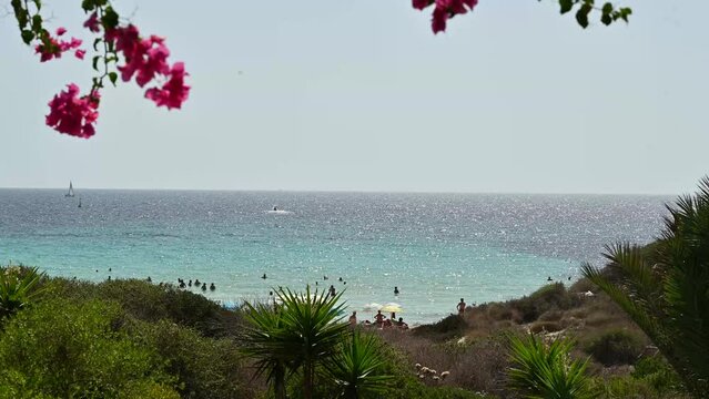 Spiaggia dell'Isola dei Conigli a Lampedusa