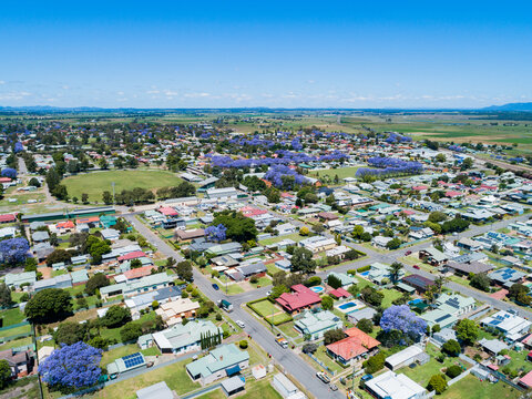 Showground arena in country town in NSW during jacaranda season