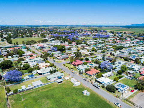 Spring in Singleton, aerial view of streets and brightly coloured flowering trees