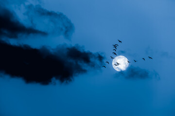 Full moon with geese formation flying past at night