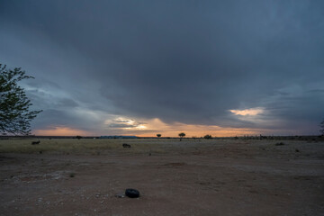 storm clouds at sunset on airfield hangars, Bitterwasser, Namibia