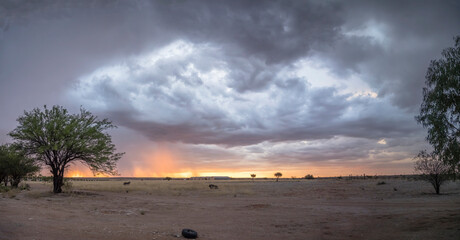scenic sunset under storm clouds, Bitterwasser, Namibia